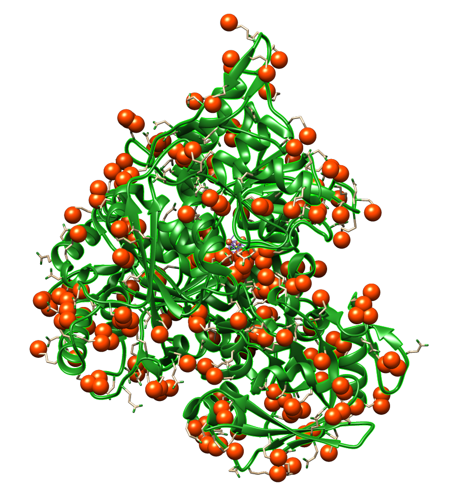 1B0J.pdb